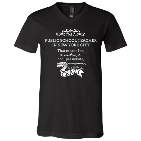 NYC Teacher Unisex Jersey V-Neck T-Shirt