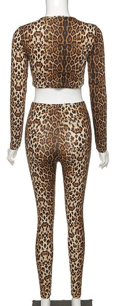 Leopard Print Crop Top and Leggings Set