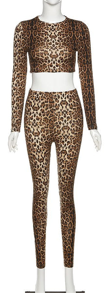 Leopard Print Crop Top and Leggings Set